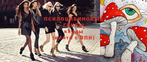 крисы Алексин