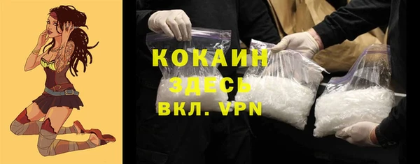 крисы Алексин