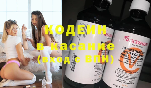 крисы Алексин