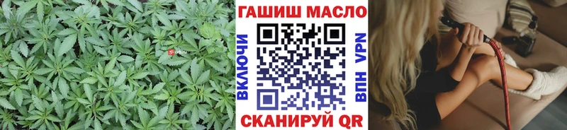 Дистиллят ТГК гашишное масло  Сунжа 